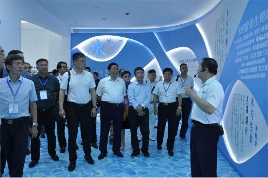 1686099647893130.png image.png